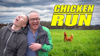 Building a HUGE DIY Chicken Run. Ep. 235.