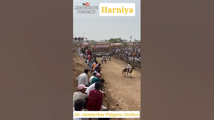 Chakan ke ghat ke mankar Dr. nandurkar Pulgaon Var...