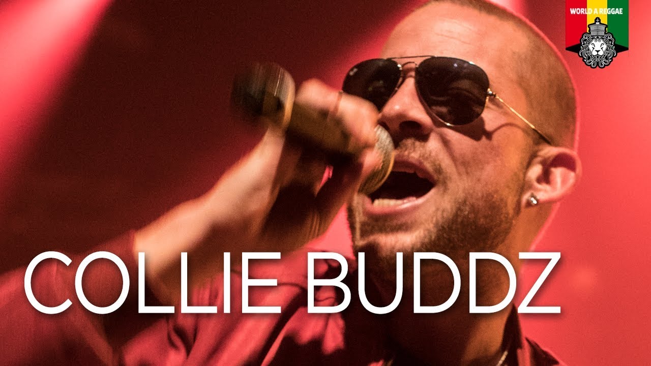 collie buddz deutschland tour