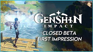 First Impression of Genshin Impacts PS4 Closed Beta