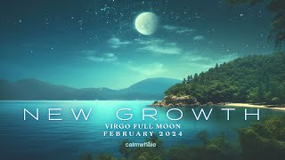 Reconnecting with Nature - Shaman Drum Handpan :: New Growth :: Full Moon in Virgo🌕 by Calm Whale 13,522 views 2 months ago 2 hours, 18 minutes