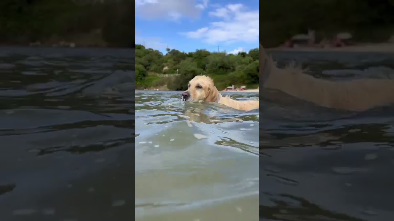 ¿Conoces esta playa?