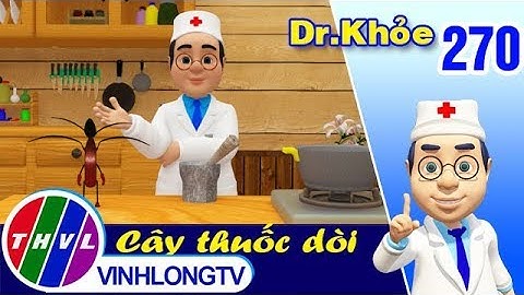 THVL | Dr. Khỏe – Tập 270: Cây thuốc dòi - Phần 2