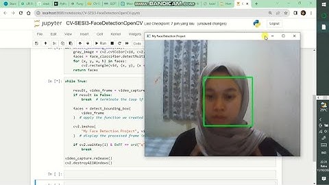 session task 3 - face detection using jupyter notebook | open cv