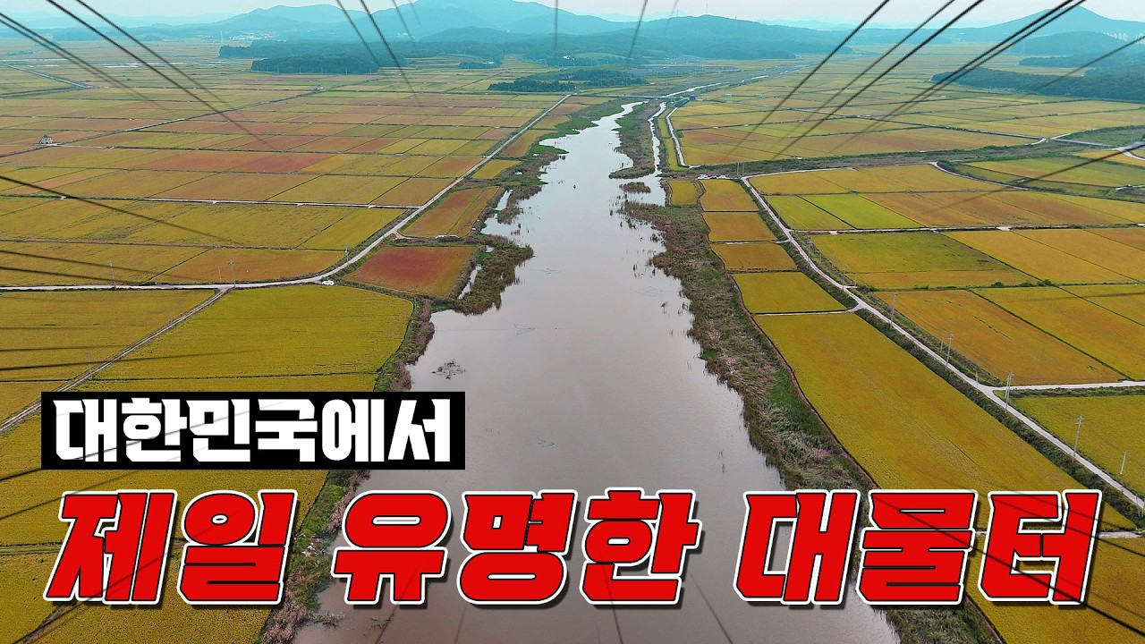 가을시즌 시작!! 충남부터 슬슬 전해지는 대물의 소식!! 붕어낚시의 계절이 왔다!! 대물붕어 타작하러 가셔야죠?