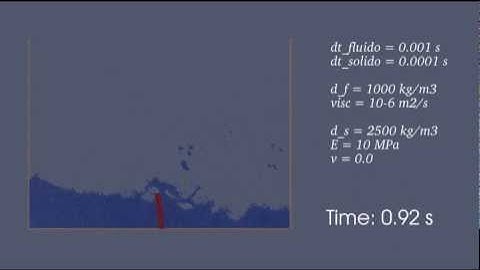MPS (Moving Particle Semi-implicit method) - examples of use