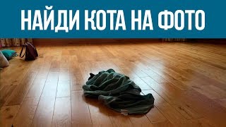 ПОПРОБУЙ НАЙТИ КОТА на фото 🐈 Выпуск 14. НАЙДИ КОТА | БУДЬ В КУРСЕ TV