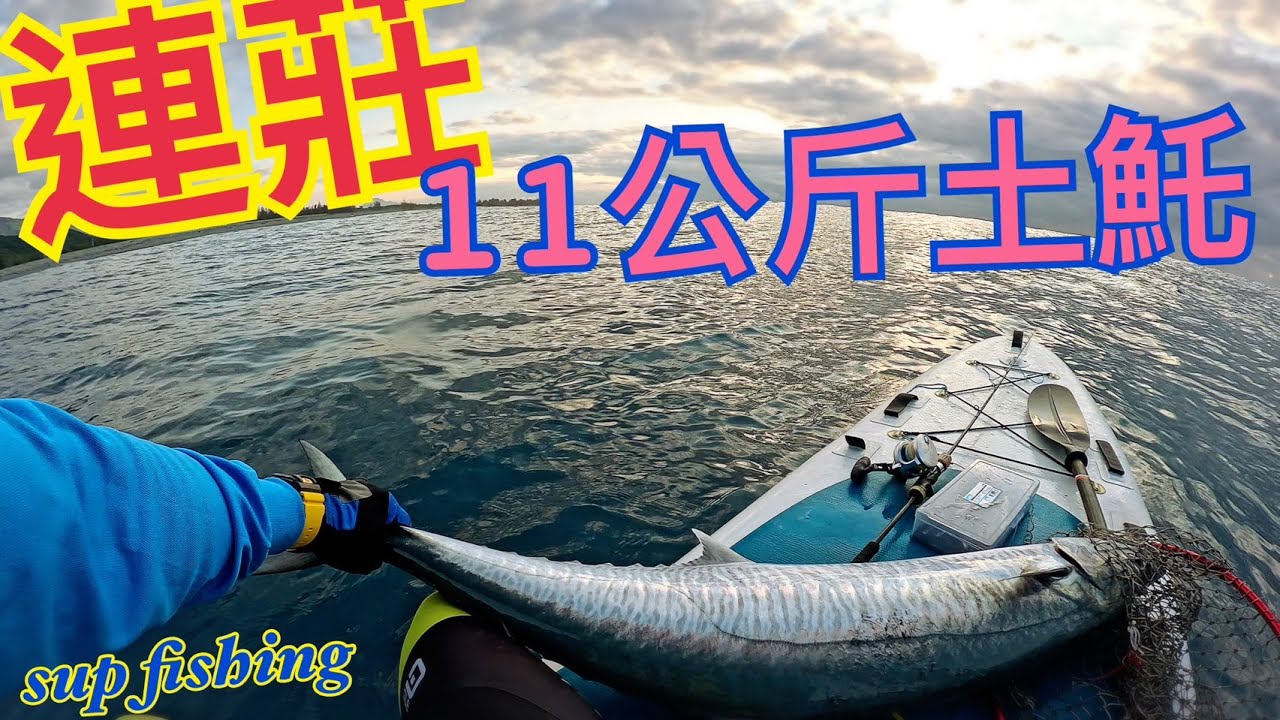 2025年3月又見大土魠&海上日料店 #土魠 #紅甘 #石橋 #太麻里  #supfishing #suptaiwan #supfishing