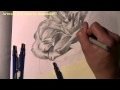 Drawing w/ DC57: Rose with leaves