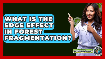 What Is The Edge Effect In Forest Fragmentation? - Earth Science Answers