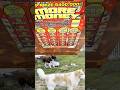 More Money Scratch Lotto Ticket
