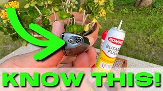 Scorch Torch and Ronson Butane Reviews: A Perfect Match!