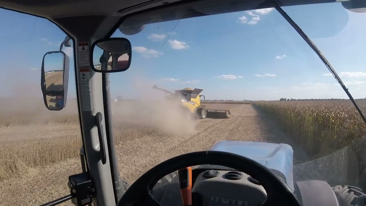 Cutting Beans