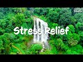 Beautiful Piano Music - Soothing Piano Music For Stress Relief, Calming, Peaceful Relaxation