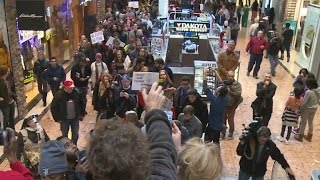 Ferguson protestors disrupt Black Friday shopping