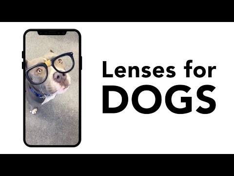 Dog Lenses | Now on Snapchat