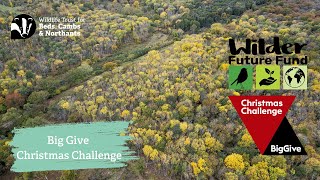 Big Give Christmas Challenge
