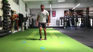 CH Protocol - Multi-Directional Single Leg Deceleration Regression II