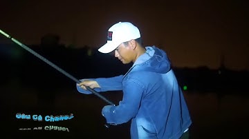 Câu lục   Câu cá 1 đêm câu rực rỡ lên toàn hàng khủng   fishing