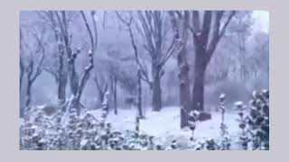 winter wonderland- bryson tiller ft. halo (slowed + reverb)