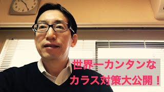 低価格でもできるカラス対策【都心の住宅街偏】