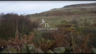 Pheasants on the Edge of the Yorkshire Moors (Dave Carrie Shooting)