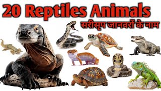 20 Reptiles Animals In Hindi English| Reptiles For Preschoolers| Kids Learning Video| 