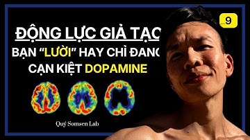 Bạn không lười. Bạn chỉ đang kiệt sức vì động lực giả tạo | Hormone Dopamine - Cortisol -Serotonin