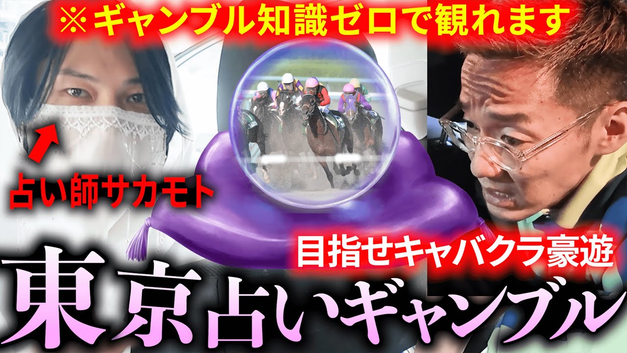 占いを猛勉強して、ギャンブルで金を増やしてキャバクラに行こう！（※ギャンブル知識ゼロでも楽しめます）