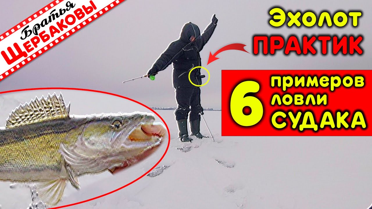ловля судака зимой с эхолотом практик