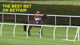 BEST BET ON BETFAIR - THE HORSE RACING BETTING STRATEGY WITH MINIMAL RISK AND BIG PROFITS screenshot 3