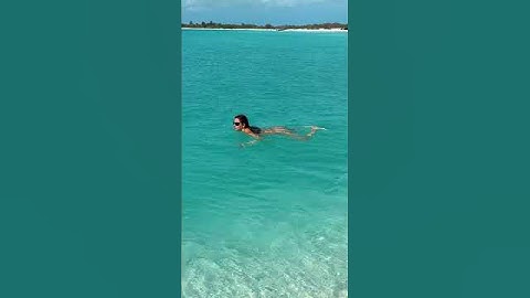 Caribbean Wild Swim in Crystal Clear Water 🌊 #shorts
