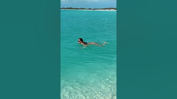 Caribbean Wild Swim in Crystal Clear Water 🌊 #shorts