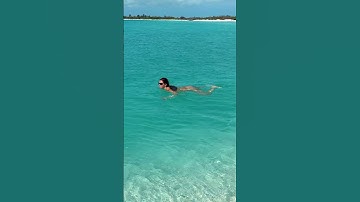 Caribbean Wild Swim in Crystal Clear Water 🌊 #shorts