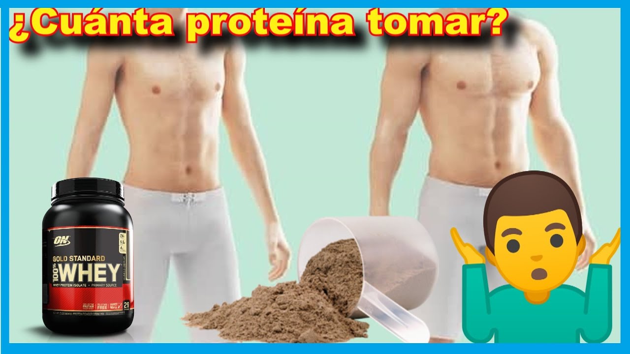 Cuantos gramos tiene un scoop de proteina UDOE Cuantos gramos tiene un scoop de proteina UDOE