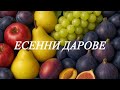 ЕСЕННИ ДАРОВЕ забавна детска песен за вкусните български плодове ябълки круши сливи грозде