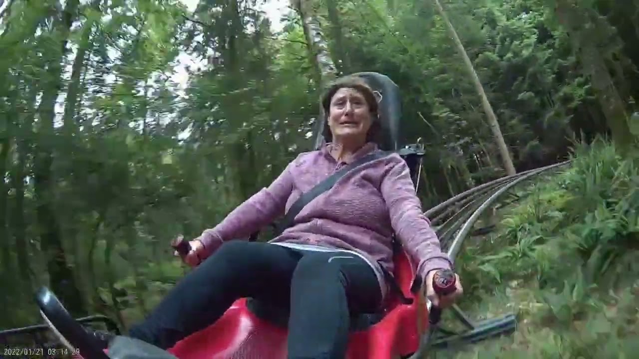 Zipworld, Fforest Coaster