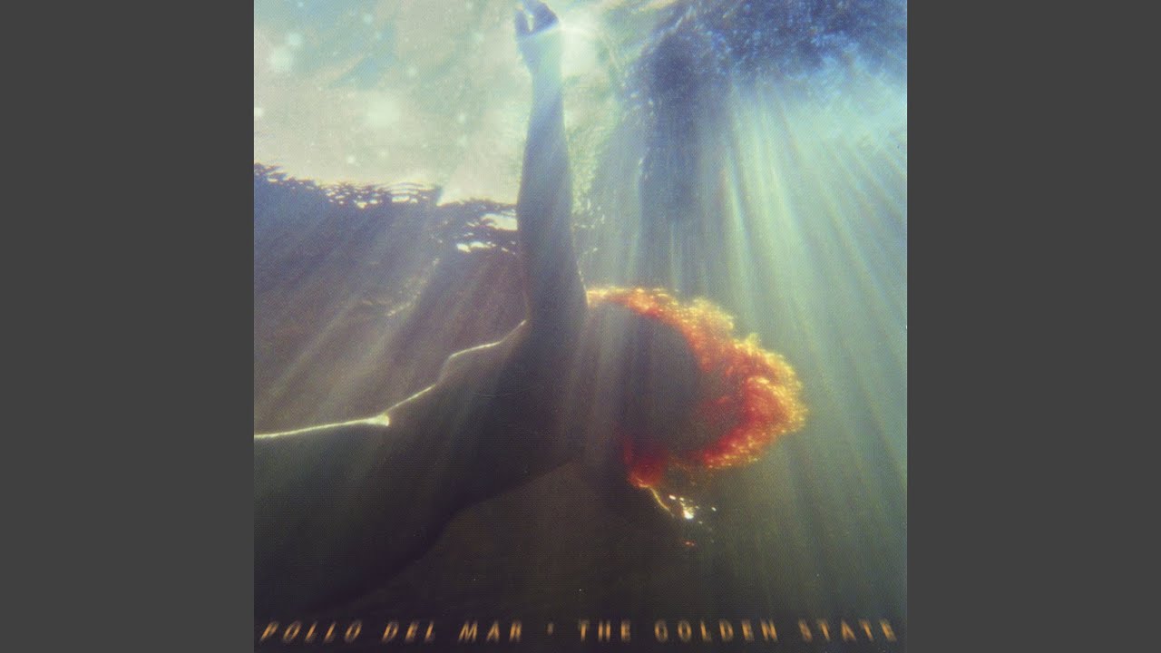 Bottom Feeder Boogie