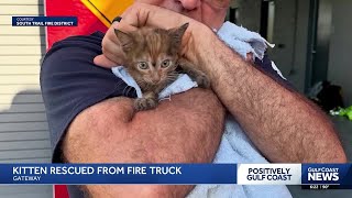 South Trail Fire & Rescue crew saves kitten from fire truck