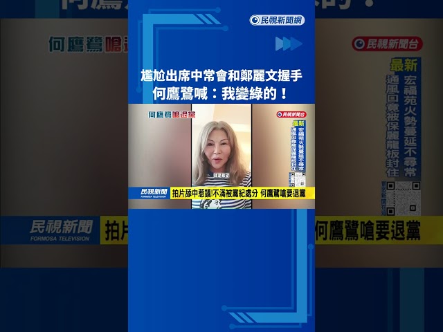 尷尬！「一身綠」和鄭麗！「一身綠」文握手 何鷹鷺喊「我變綠的」－民視新聞