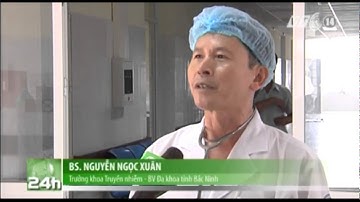 VTC14_Bài học khống chế Bệnh viêm não Nhật Bản bằng vaccine