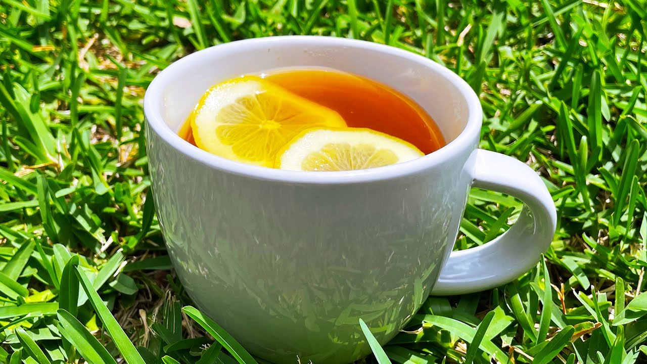 Senna Leaf Tea| A Natural Laxative & Detox