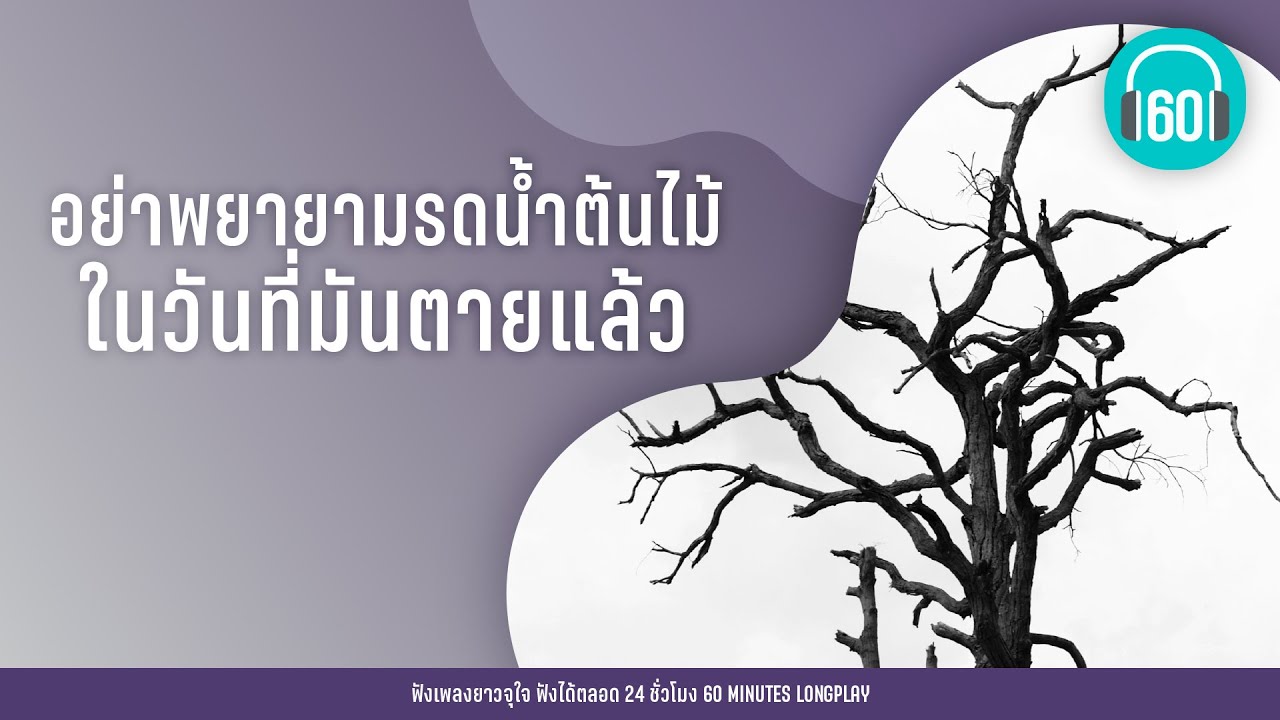 อย่าพยายามรดน้ำต้นไม้ในวันที่มันตายแล้ว lความเดิมตอนที่แล้ว,อย่าบอก,รอแล้วได้อะไร  l【LONGPLAY】