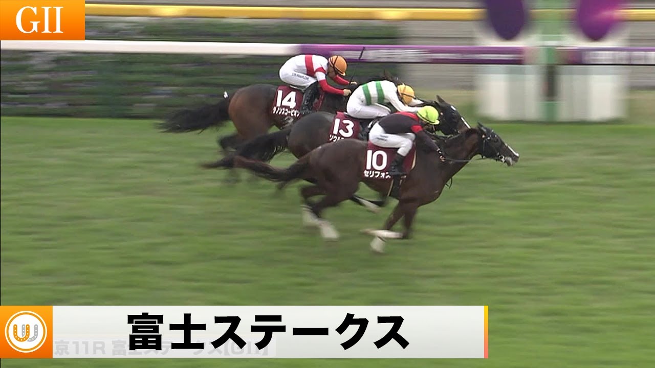 2022】第25回富士ステークス（GII）東京競馬場11R ｜ウイニング競馬 