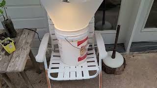 Free Feed For Your Chickens - DIY June Bug Trap