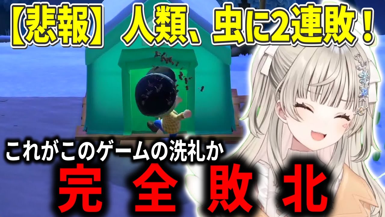 【あつ森】ハチに刺されタランチュラに狩られる。虫に2連敗して完全敗北した小森めと【ぶいすぽ/切り抜き/小森めと/あつ森】