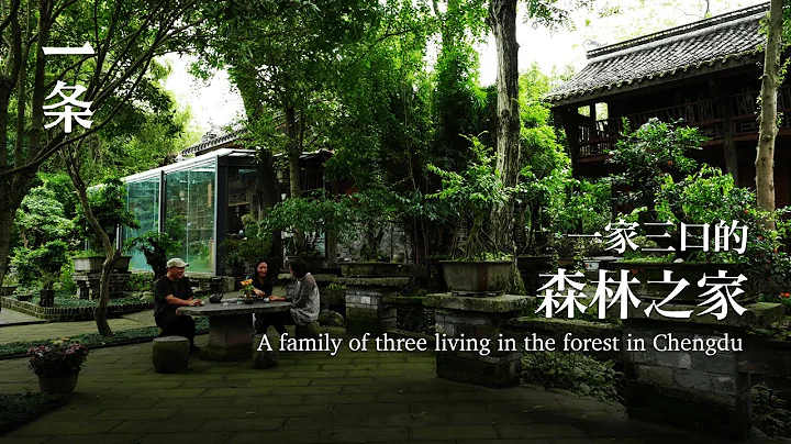 [EngSub]A Family of Three Living in the Forest in Chengdu 一家三口的森林之家，被媒體捧紅後，繼續孤獨打造樂園 - DayDayNews
