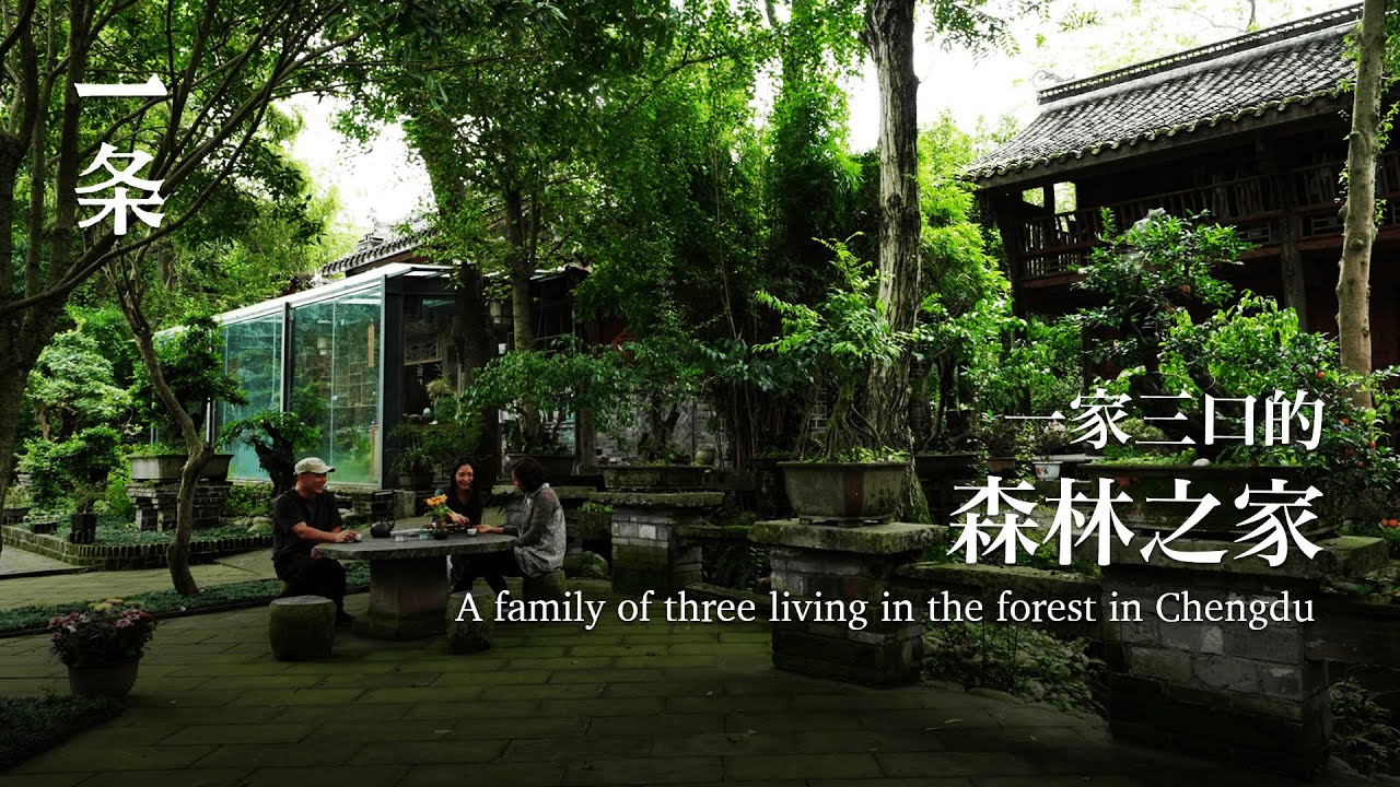 一家三口的森林之家，被媒體捧紅後，繼續孤獨打造樂園 A family of three living in the forest in Chengdu