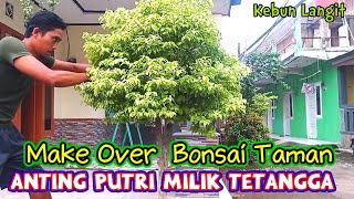 Download lagu Make Over Bonsai Taman Anting Putri Milik Tetangga