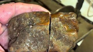 What's Inside This Ugly Agate? You Won't Believe It!